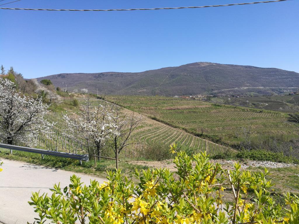 Guest house Dal Rosso 3*