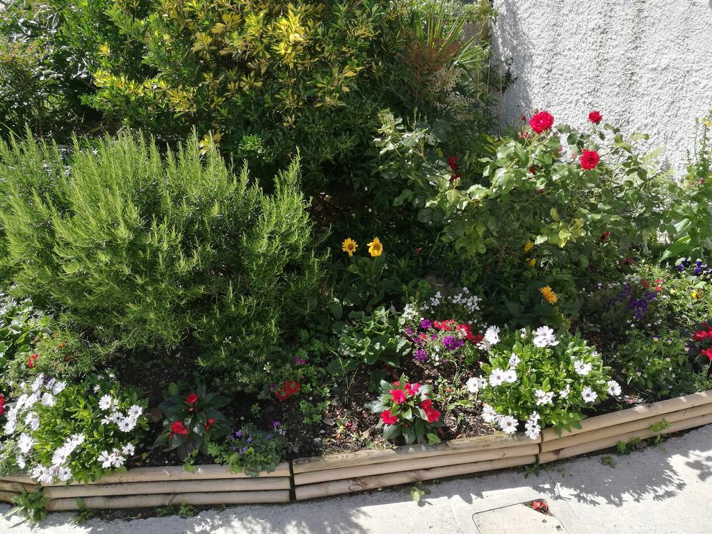 Guest house Dal Rosso 3*